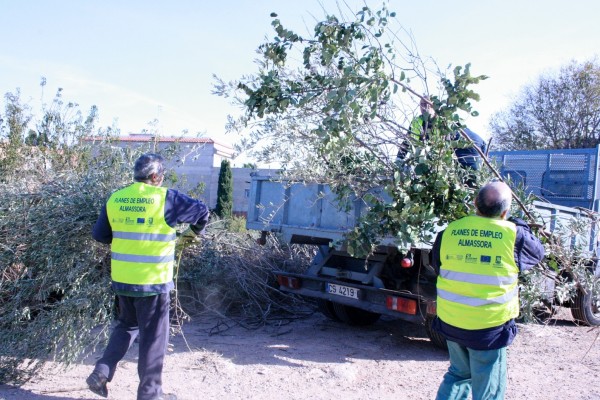 Almassora recoge 18 toneladas de restos de poda de mayo a julio, 15 más que un año antes