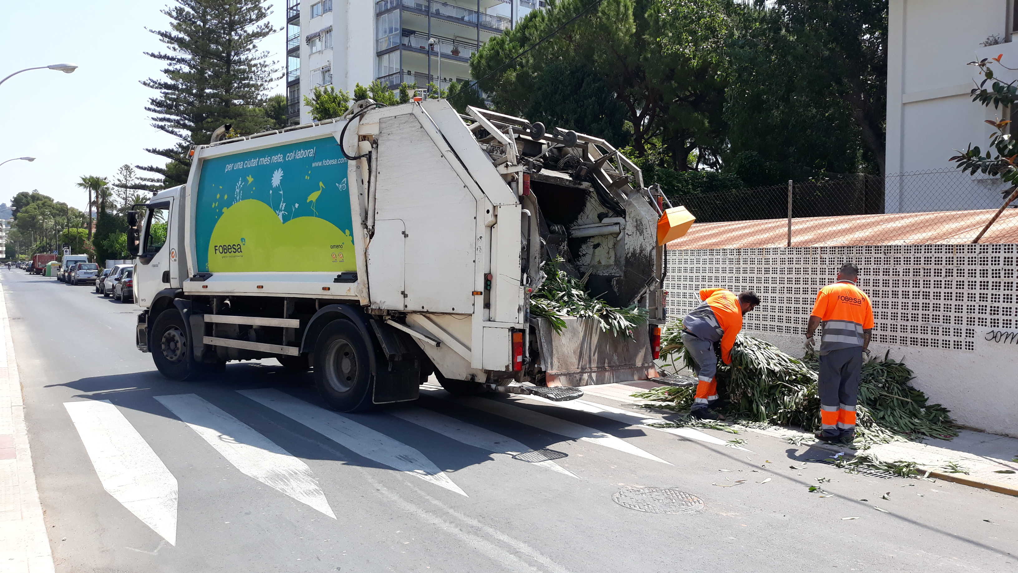 Los vecinos no avisaron del 65% de los residuos de poda que Benicàssim recogió en julio
