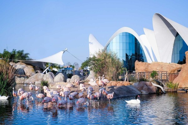 El Oceanogràfic alcanza en 