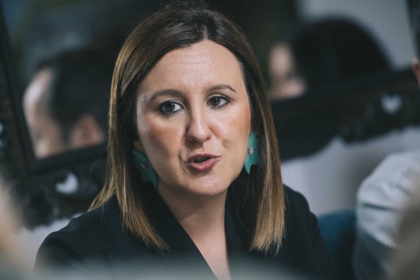 Català (PP) exige sacar el concurso de la grúa de València 