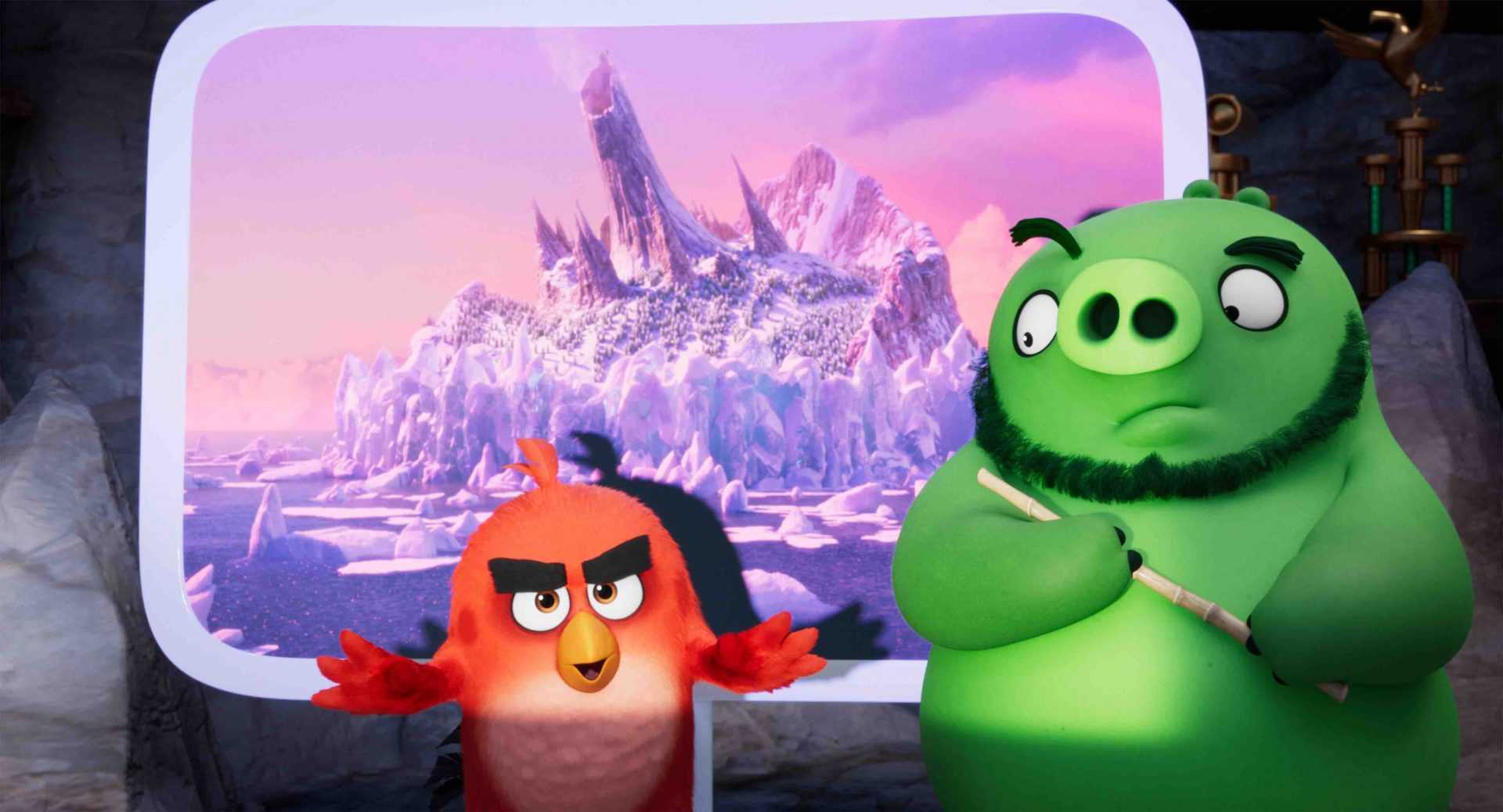 Cerdos y pájaros se cabrean juntos