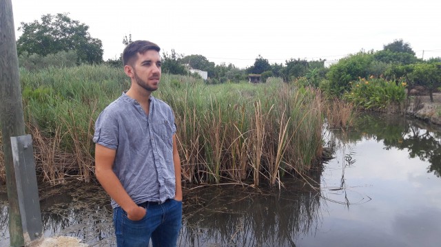 Castelló creará un Consejo Agrario que recupere los espacios de cultivo abandonados de la ciudad