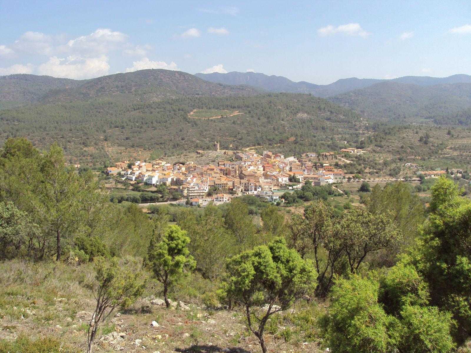 El PSPV pide al PP que exija el acta al teniente de Alcaldía de Matet detenido por supuestos abusos
