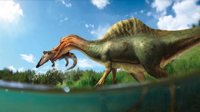 El Vallibonavenatrix: la nueva especie de dinosaurio descubierta que procede de Castellón 