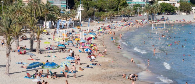 El Ayuntamiento de Alicante repondrá a final de año la pasarela de acceso a la playa de la Albufereta
