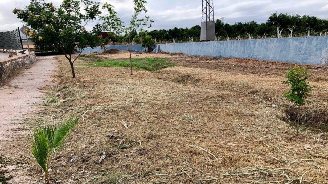 Betxí limpia los barrancos para prevenir las plagas del mosquito tigre