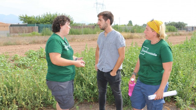 Castelló pone en valor la iniciativa del huerto social y ecológico del Mas d’en Riera 