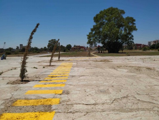 Abre el jardín provisional de 6.000 m2 en Nazaret que se integrará en el Parque de Desembocadura