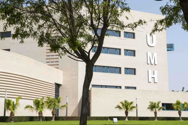 La UMH busca nuevo coche oficial para el rector: será un híbrido de renting