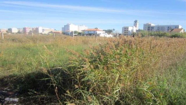 Nules reactiva el PAI Serratelles y prevé construir 172 viviendas en segunda línea de playa