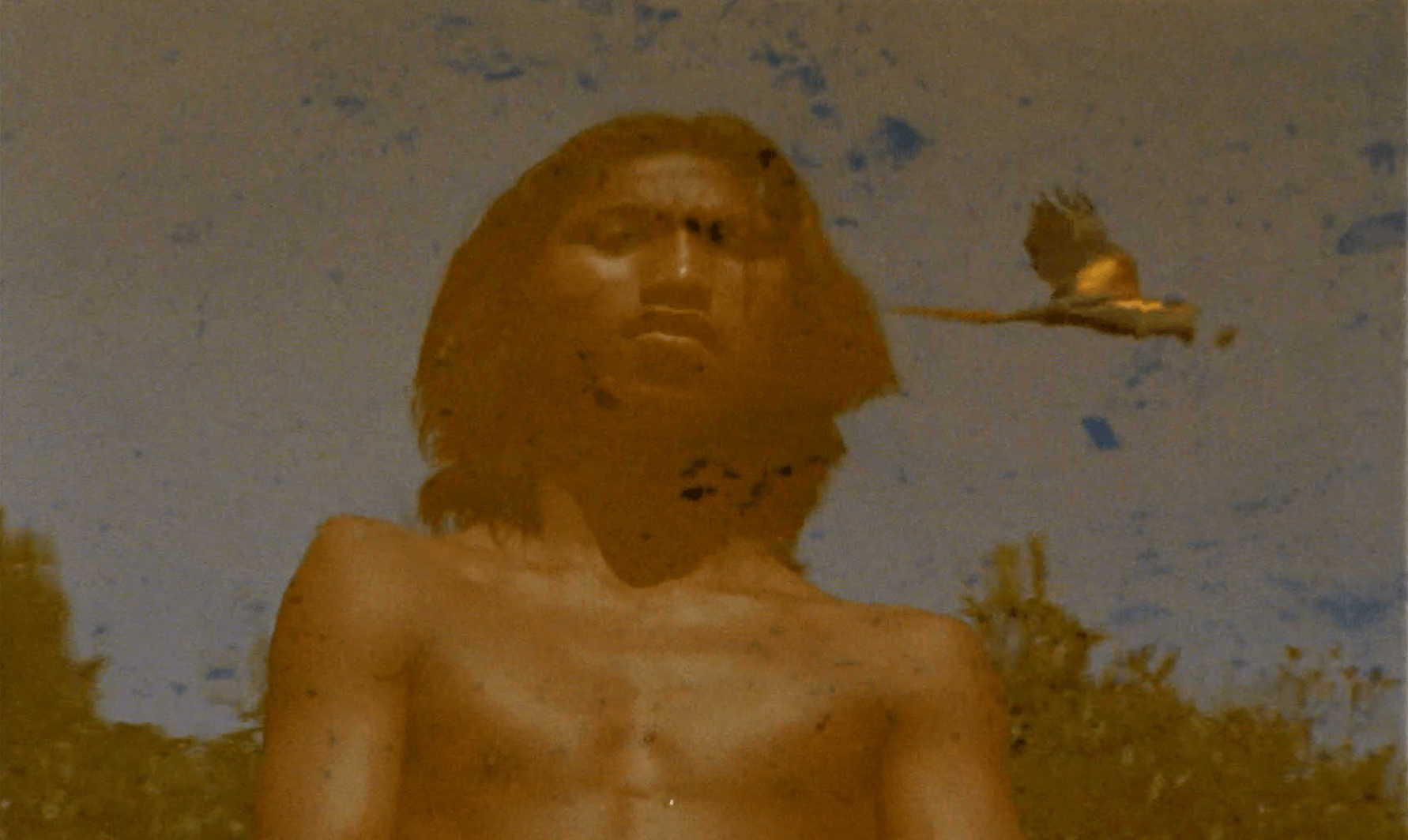 'El canto de la selva': La llamada de los ancestros

