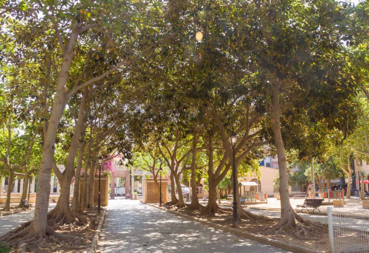 La reforma del parque de La Panderola se alargará hasta 2020 por una modificación del proyecto