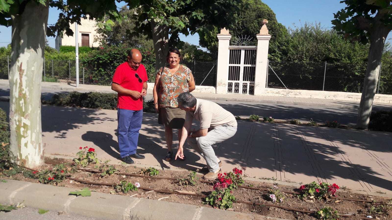 Castelló elaborará un inventario sobre el estado de los jardines para activar el plan de zonas verdes