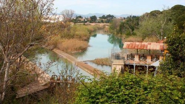 El Consorcio del Paisaje Protegido del río Millars confirma la presencia de nutrias en el tramo bajo