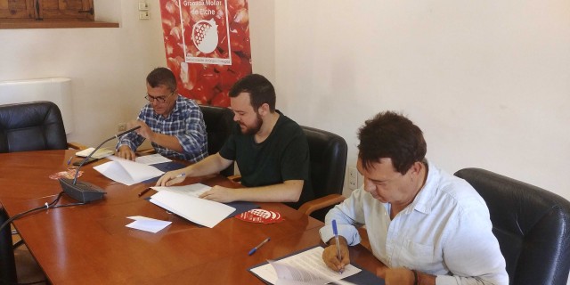 Elche acogerá un congreso internacional de la granada en septiembre