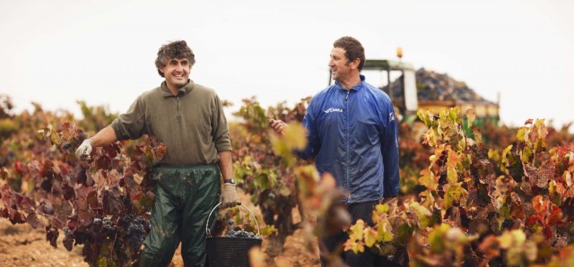La DO Utiel-Requena agradece a Agricultura la modificación que garantiza su integridad territorial