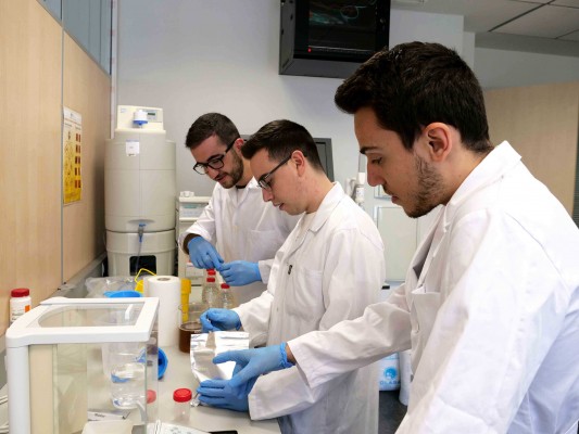 Nutrihorizon, la startup que desarrolla formulados alimentarios para suplir las carencias en celíacos