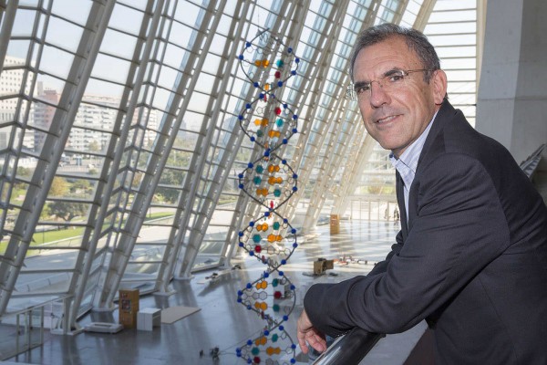 Cacsa licita por 1,8 millones un Teatro de la Ciencia dentro del Museo Príncipe Felipe