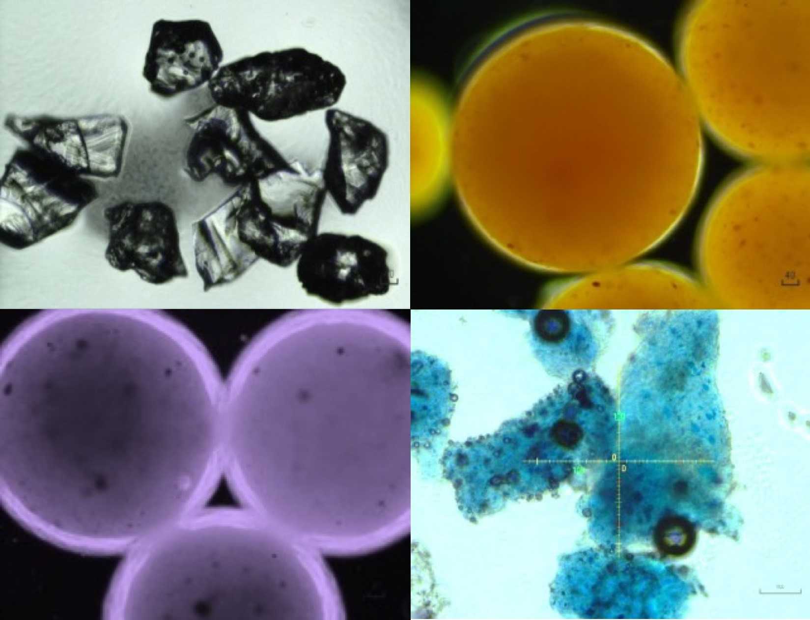 Desarrollan imanes con base de carbono para limpiar la contaminación de microplásticos en mares y ríos