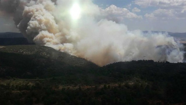 El Consell financia cinco proyectos de prevención de incendios forestales en Castellón