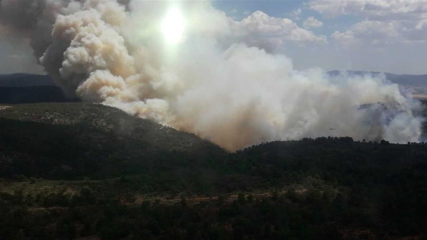 El Consell financia cinco proyectos de prevención de incendios forestales en Castellón