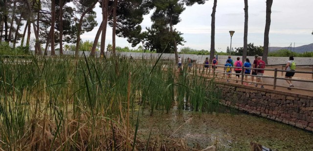 Las rutas senderistas de Almenara culminarán con la visita al Paraje Natural dels Estanys 