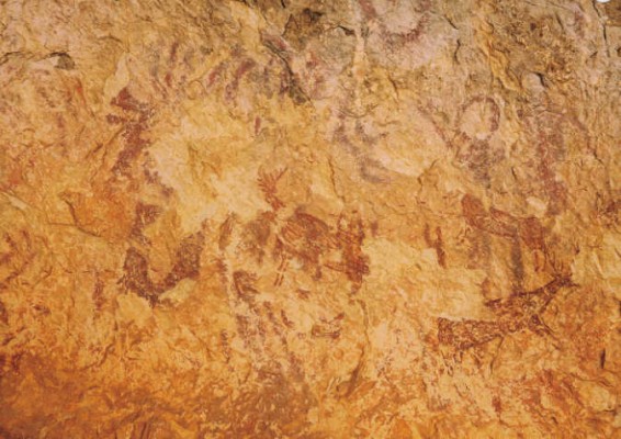 Les Pintures Rupestres de la Sarga ja són propietat del poble d’Alcoi
