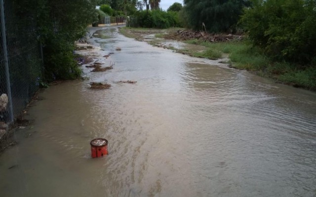 Fomento autoriza en Elche los colectores para evitar inundaciones en Palmerales y Ronda Sur