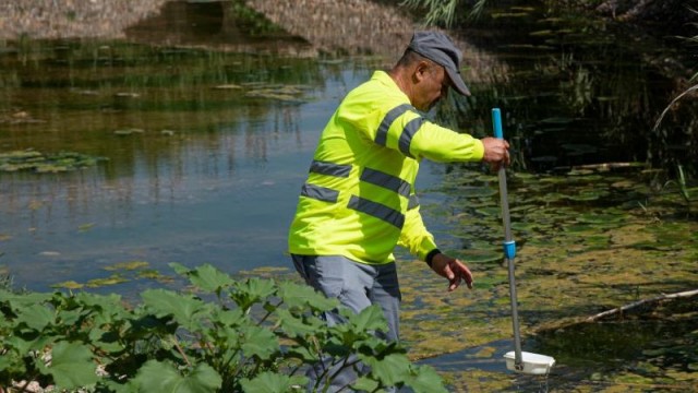 Turno de Burriana y Torreblanca en los tratamientos del plan provincial antimosquitos