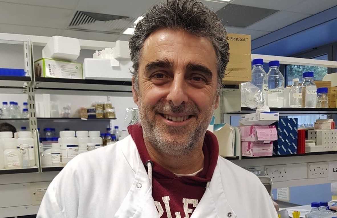 Hallan una nueva clave para entender el mecanismo de resistencia a los antibióticos que desarrollan las bacterias