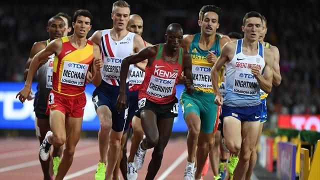 Mechaal a semifinales de 1.500, Alcalá y Bustos eliminados

