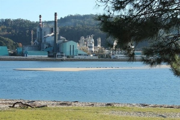 Buenas noticias para Ence: su fábrica de Pontevedra recibe el certificado 'residuo cero' de Aenor