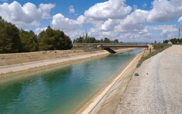 Diferentes colectivos instan al Pleno de Elche aprobar una moción de emergencia climática