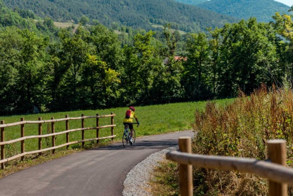 El 17% de los conductores valencianos aún no respeta la distancia de seguridad al adelantar a los ciclistas en carretera