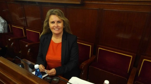 Fernández (Cs) ofrecerá al presidente José Martí 