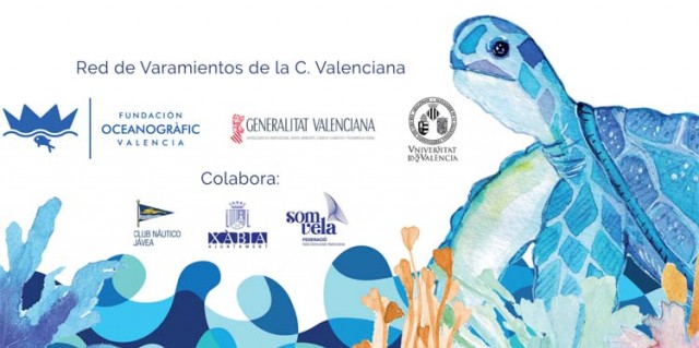 El CN Jávea soltará una tortuga de mar durante su semana de vela

