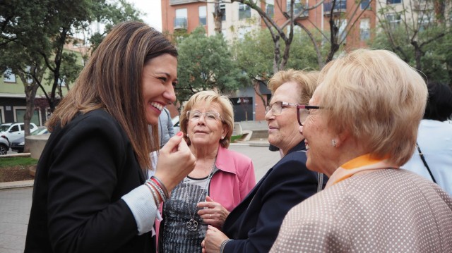 El PP de Almassora exige al Consell inversión en la lucha contra la plaga de mosquitos