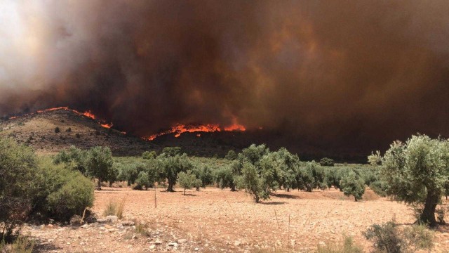 Estabilizado el incendio de Beneixama tras arrasar 900 hectáreas, un 10% de ellas cultivos