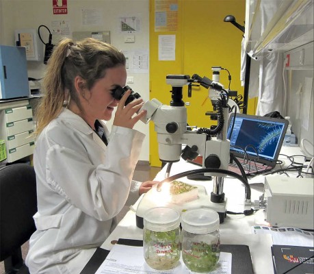 La UMH invertirá 600.000 euros en material para proyectos de I+D del Instituto de Biotecnología