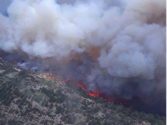 El incendio forestal de Beneixama arrasa 830 hectáreas y obliga a desalojar a 80 personas