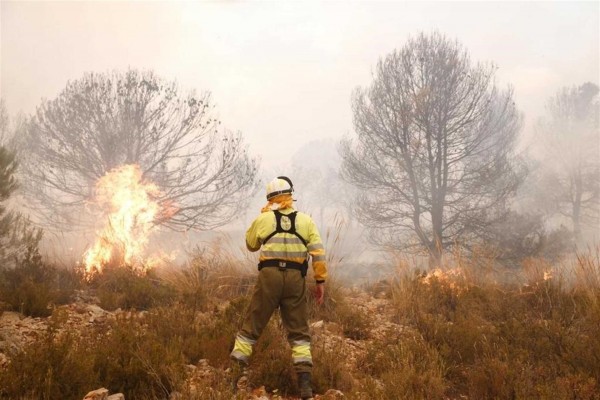 El incendio forestal de Beneixama arrasa 830 hectáreas y obliga a desalojar a 80 personas