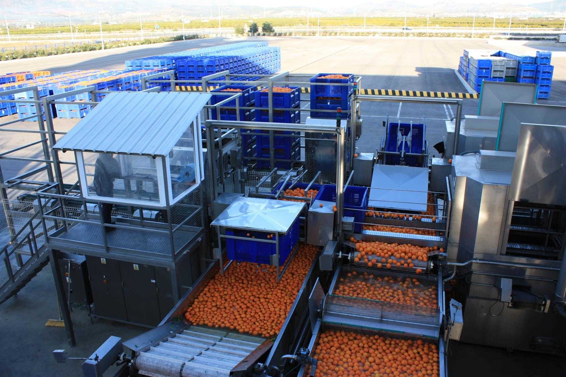 El Comité de Gestión de Cítricos avisa; el acuerdo con Mercosur 