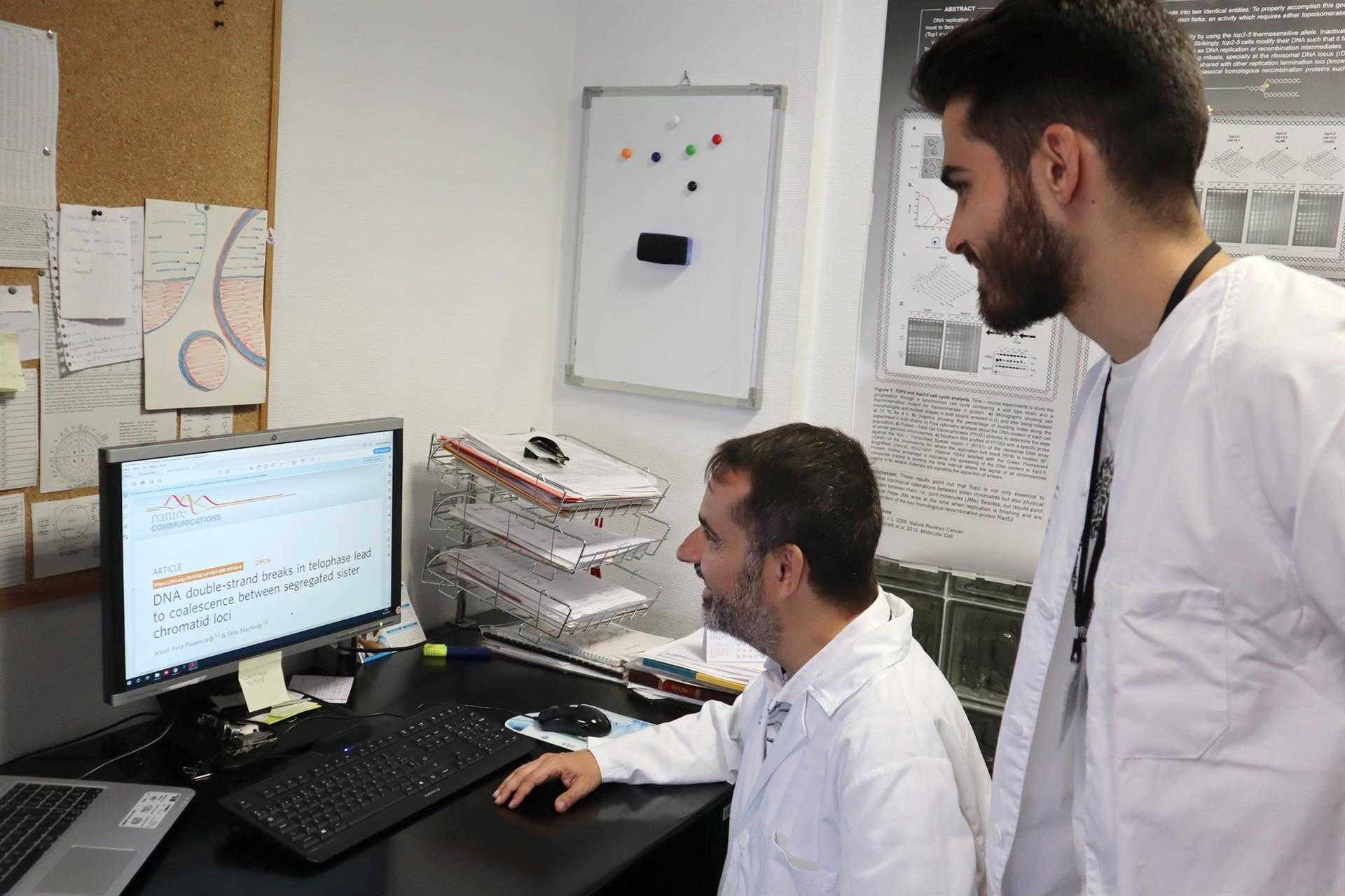 Investigadores descubren un cambio de comportamiento en células sometidas a quimioterapia