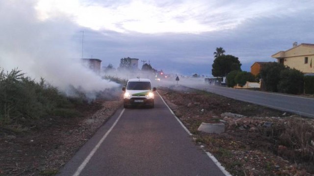 Benicàssim refuerza la revisión y tratamiento para luchar contra el mosquito tras últimas lluvias