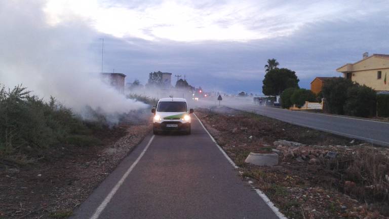 Benicàssim refuerza la revisión y tratamiento para luchar contra el mosquito tras últimas lluvias