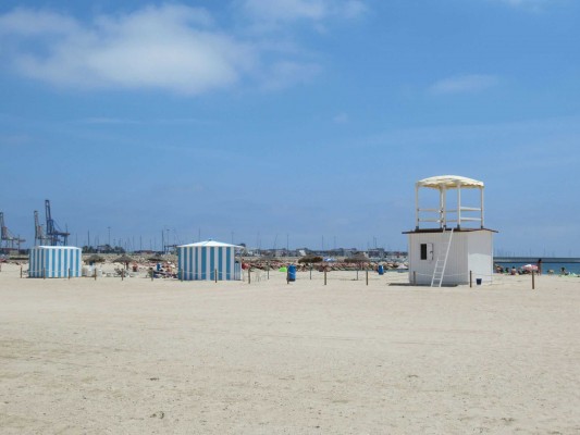 Vuelve la playa de los perros de Pinedo con boyas, zonas acotadas de baño, y hasta chiringuito