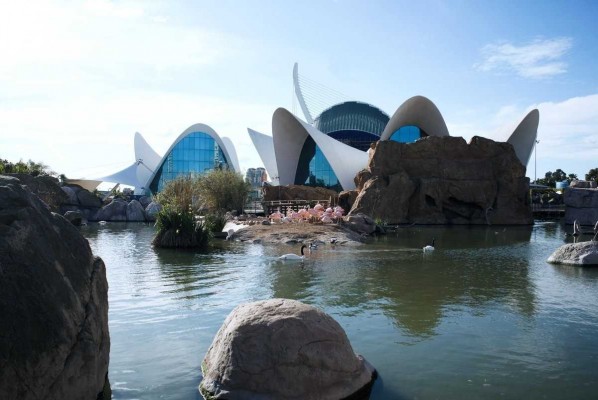El Oceanogràfic abre sus puertas con 