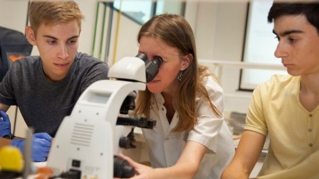 Estudiantes de Bachillerato de Castellón y Valencia participarán en las Colonias Científicas en la UJI