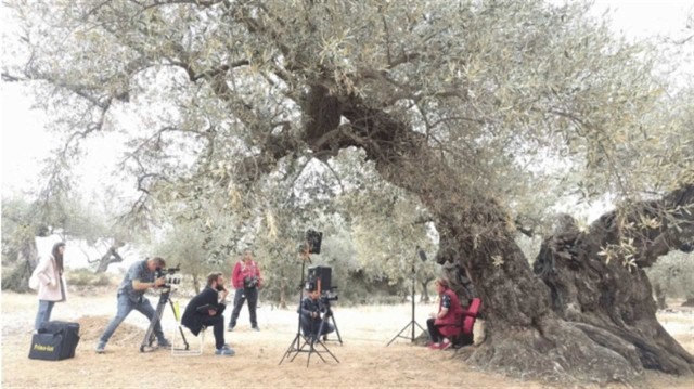 'Terres de cinema', la Comunitat como escenario de película