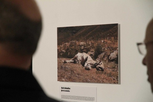 La Rambleta acoge una muestra fotográfica que lucha contra el cambio climático 